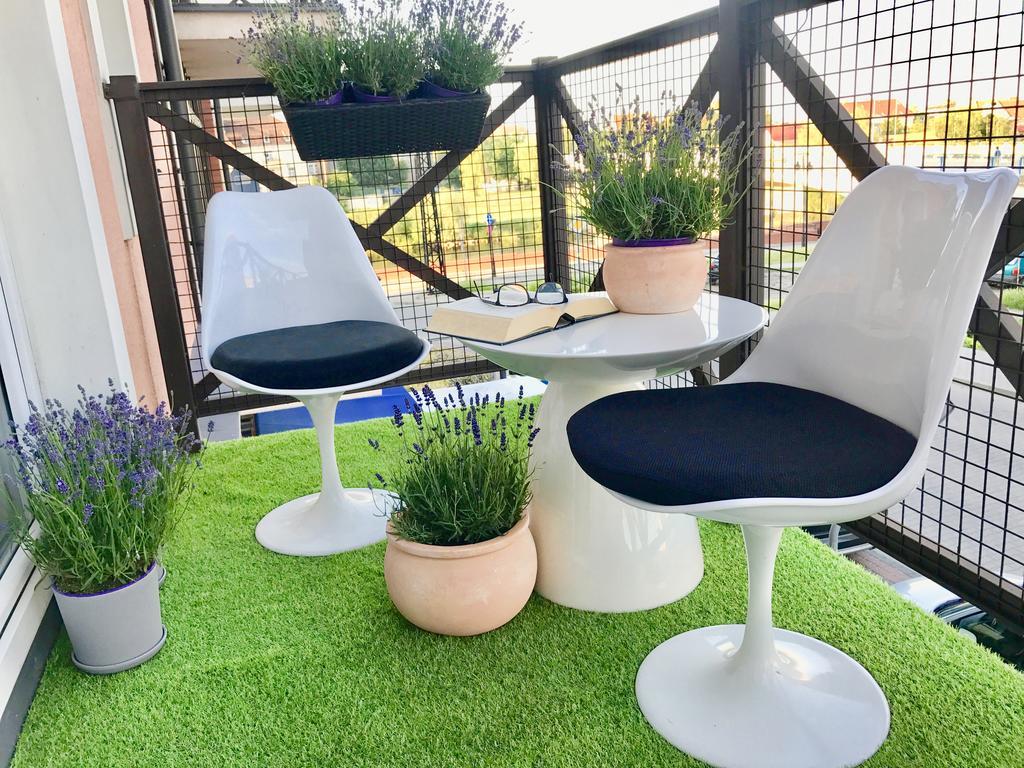 Apartament Lavender شرم المظهر الخارجي الصورة