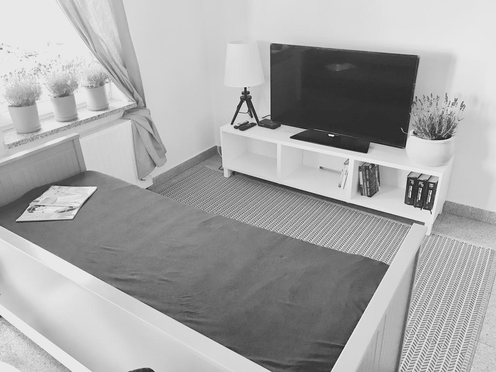 Apartament Lavender شرم المظهر الخارجي الصورة